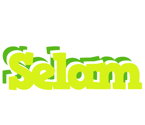 Selam citrus logo