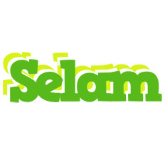 Selam picnic logo