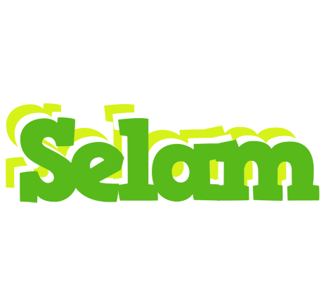 Selam picnic logo