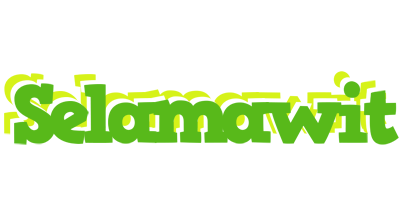 Selamawit picnic logo
