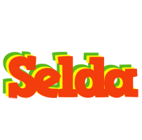 Selda bbq logo