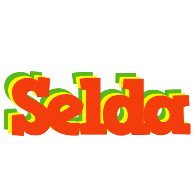 Selda bbq logo