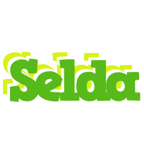 Selda picnic logo