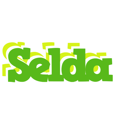 Selda picnic logo