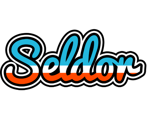 Seldor america logo