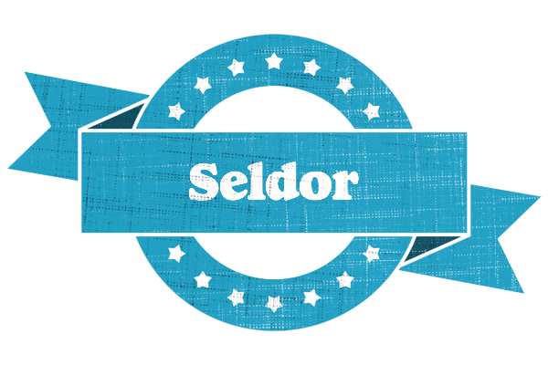 Seldor balance logo