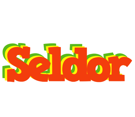 Seldor bbq logo