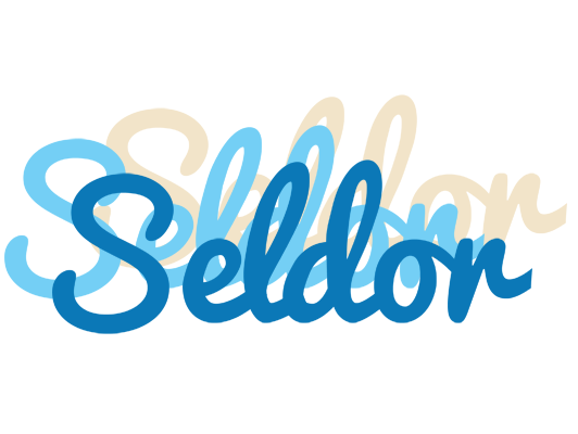 Seldor breeze logo