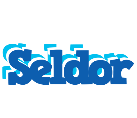 Seldor business logo
