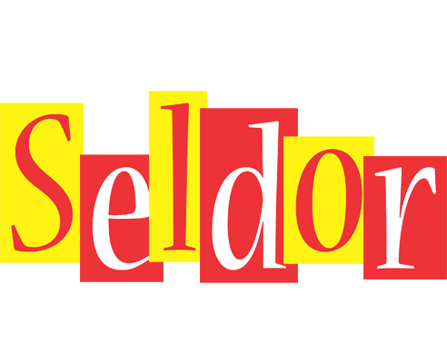 Seldor errors logo