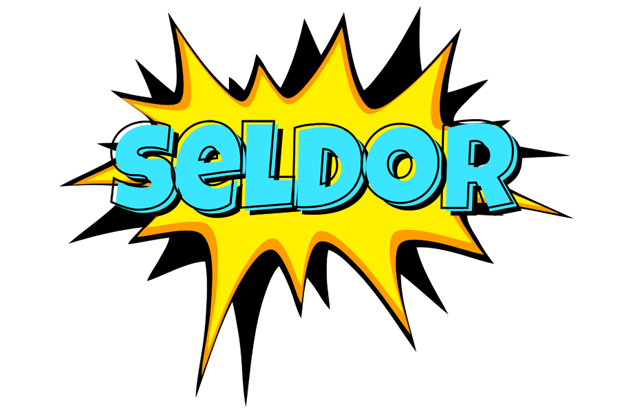 Seldor indycar logo