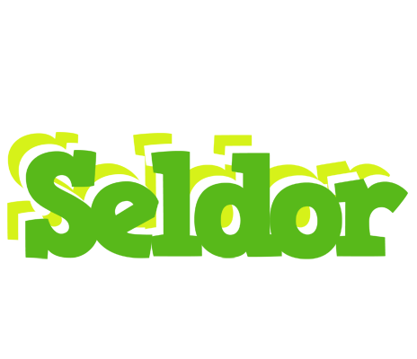 Seldor picnic logo