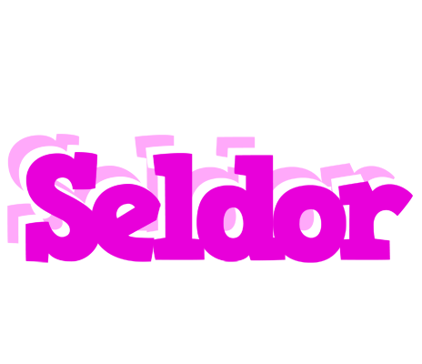 Seldor rumba logo