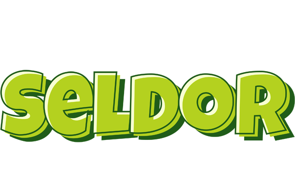 Seldor summer logo