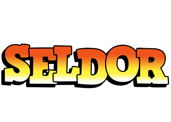 Seldor sunset logo