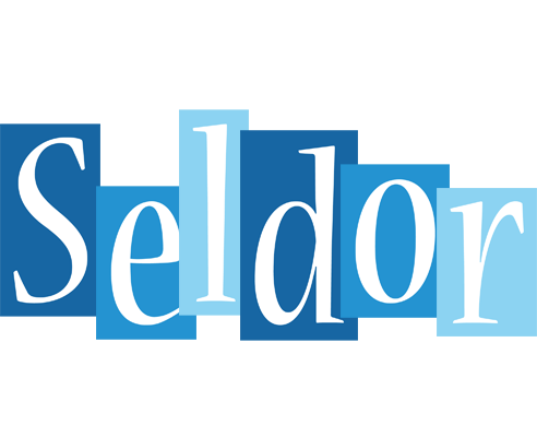 Seldor winter logo