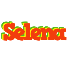 Selena bbq logo