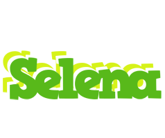 Selena picnic logo
