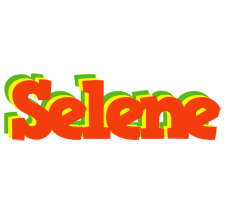 Selene bbq logo