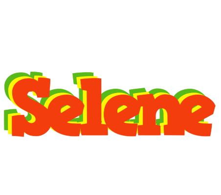 Selene bbq logo