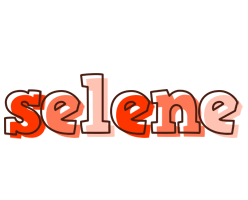 Selene paint logo