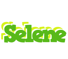 Selene picnic logo