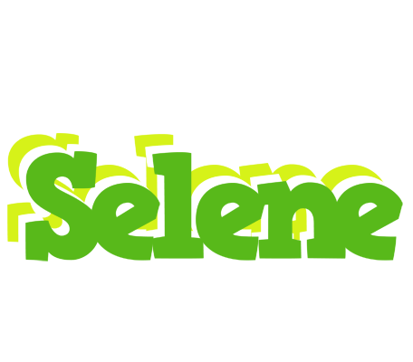 Selene picnic logo