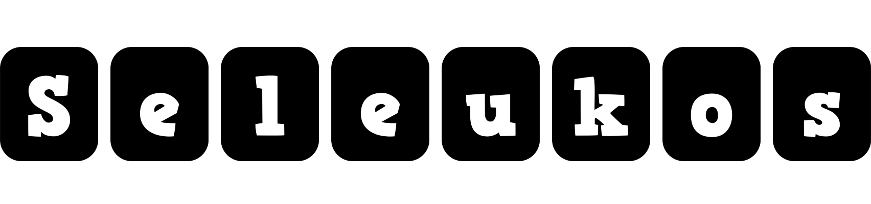 Seleukos box logo