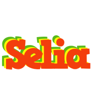 Selia bbq logo