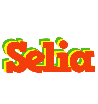 Selia bbq logo