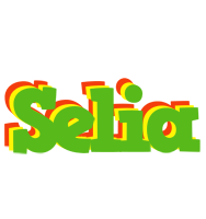 Selia crocodile logo