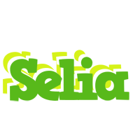 Selia picnic logo