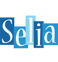 Selia winter logo