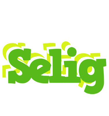Selig picnic logo