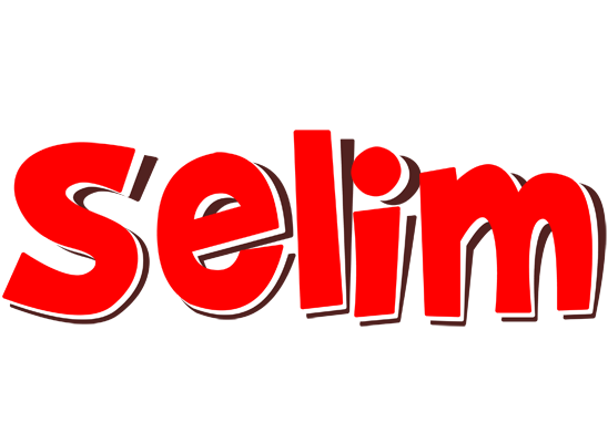 Selim basket logo