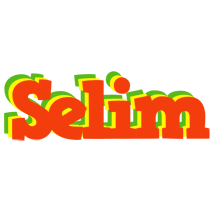 Selim bbq logo