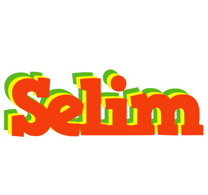 Selim bbq logo