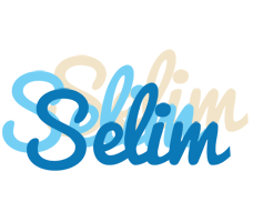 Selim breeze logo