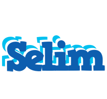 Selim business logo