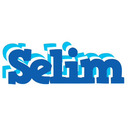 Selim business logo