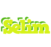 Selim citrus logo