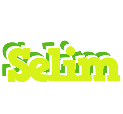 Selim citrus logo