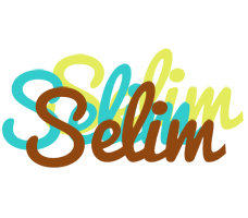 Selim cupcake logo