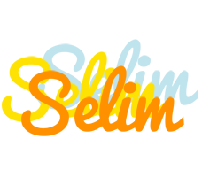 Selim energy logo