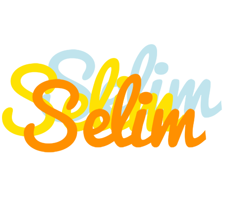 Selim energy logo