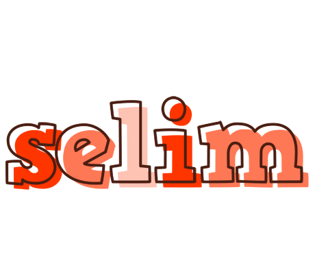 Selim paint logo