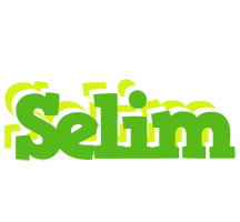 Selim picnic logo