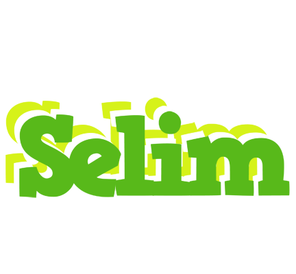 Selim picnic logo