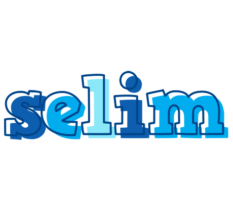 Selim sailor logo