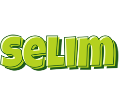 Selim summer logo